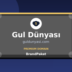 GulDunyasi.com premium domain logo